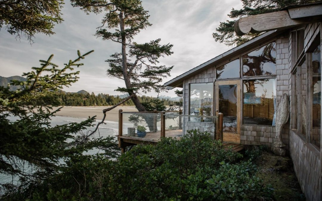 House with trees on the water