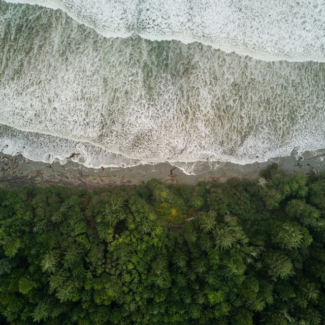 Aerial view of the seashore