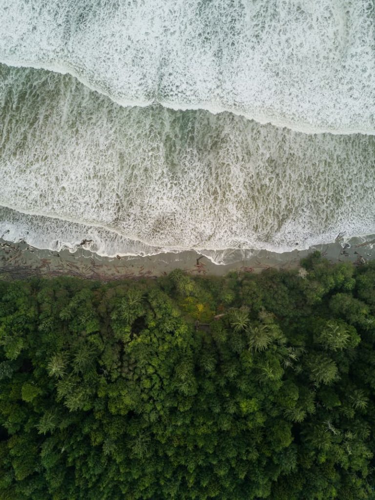 Aerial view of the seashore