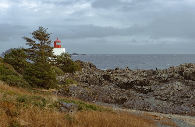 jeff parker stmioIRLzJU unsplash - Tofino & Ucluelet Real Estate